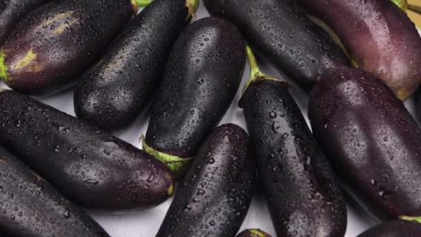 Close-up, rotation of a pile of whole eggplants. — Stock Video