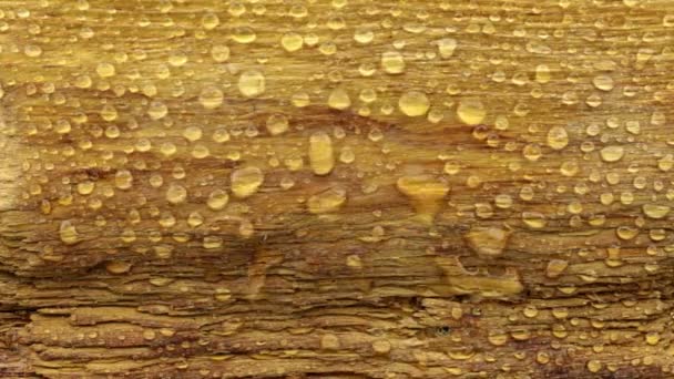 El viento sopla gotas de lluvia con una textura de madera . — Vídeo de stock