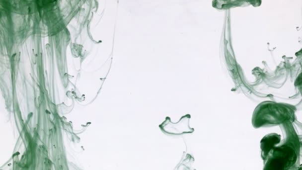 Gotas de tinta verde com espaço vazio no centro . — Vídeo de Stock