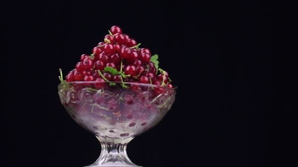 Rotation of a heap of red currants in a glass vase — Stock Video
