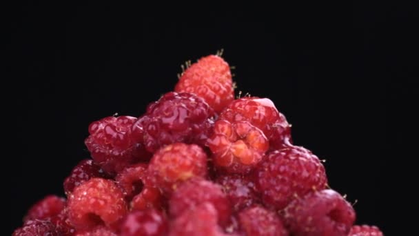 Regentropfen fallen auf einen rotierenden Haufen reifer Himbeeren. isoliert — Stockvideo