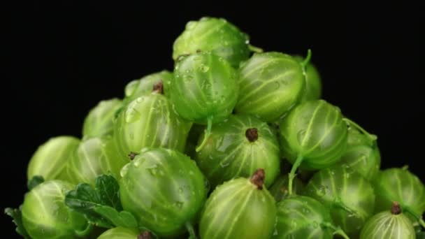 Regendruppels vallen op een roterende stapel van rijpe groene kruisbes. Geïsoleerd — Stockvideo