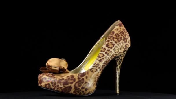 Rotation, shoes with high heels. Leopard high heel shoes — Stock Video