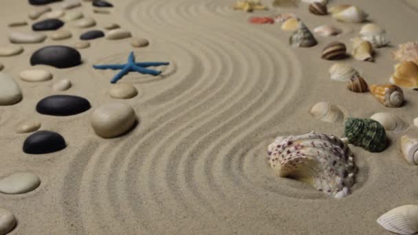 Refocusing the focus from the seashell to the starfish. Texture of sand — Stock Video