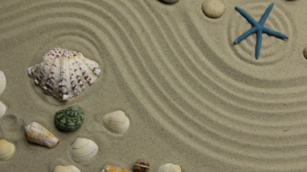 Καλοκαιρινό φόντο-κοχύλια, αστέρια και πέτρες σε ζιγκ-ζαγκ άμμο. Πυροβολισμός γερανού. — Αρχείο Βίντεο