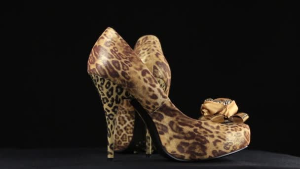 Par av Womens högklackade skor. Rotation — Stockvideo