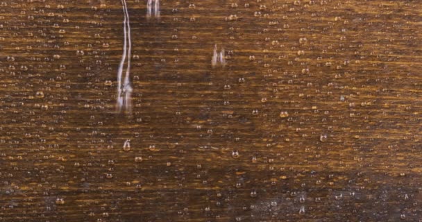 Las gotas de lluvia caen sobre un tablero de madera y fluyen por arroyos sobre una superficie de madera . — Vídeos de Stock