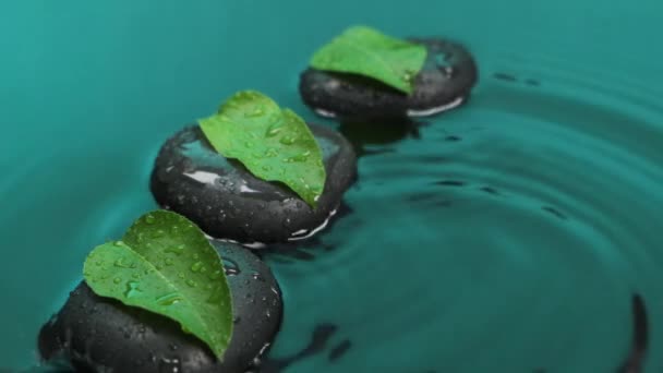 En cámara lenta. Gota de gotas de lluvia sobre piedras negras con hojas verdes en agua verde. El comienzo de la lluvia.Spa fondo . — Vídeo de stock