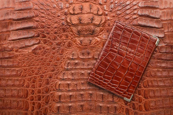 Brown Leather Passport Cover Lying Brown Crocodile Skin Space Design Stock Picture