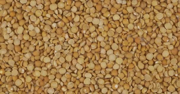 Borsó gabona háttér, textúra. Forgás és nagyítás gabonafélék nélkül. — Stock videók
