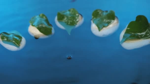 Movimento lento. Queda de gotas em água azul em um fundo de cinco pedras brancas com folhas verdes . — Vídeo de Stock