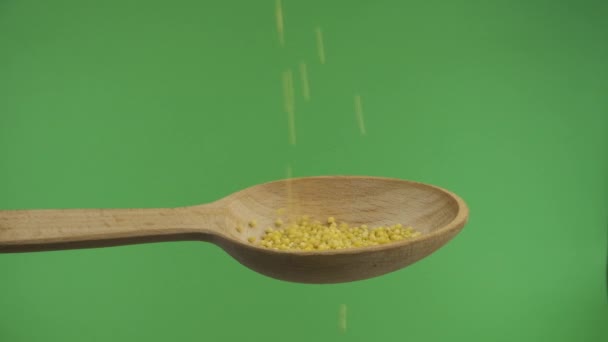 Slow motion. Falling millet grains into a wooden spoon. Chromakey. — Stock Video