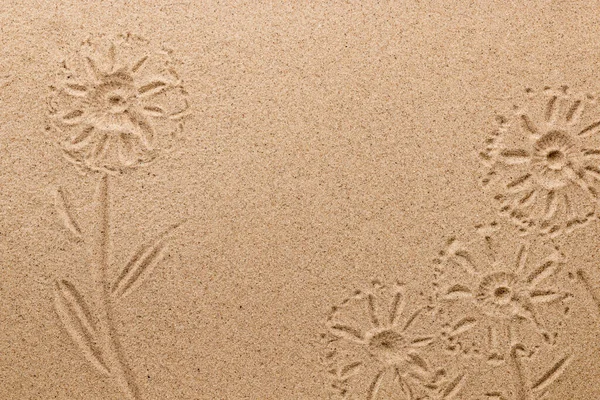 Αποτύπωμα Από Λουλούδια Αγρού Στην Άμμο Εννοιολογική Εικόνα Άποψη Από — Φωτογραφία Αρχείου