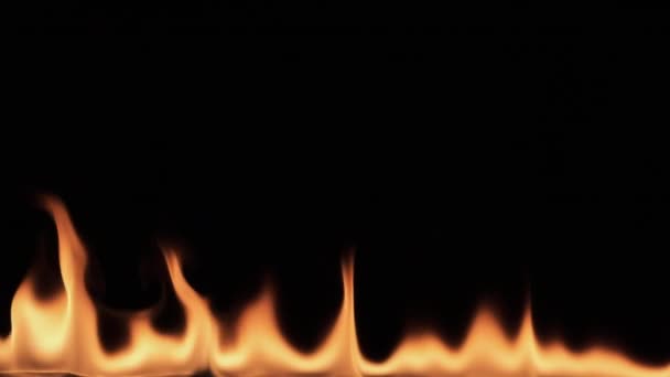 Slow motion, burning fire on black background. Texture of fire on a black background. — Stock Video