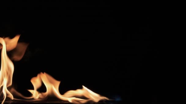 Slow motion, igniting fire on black background. Texture of fire on a black background. — Stock Video