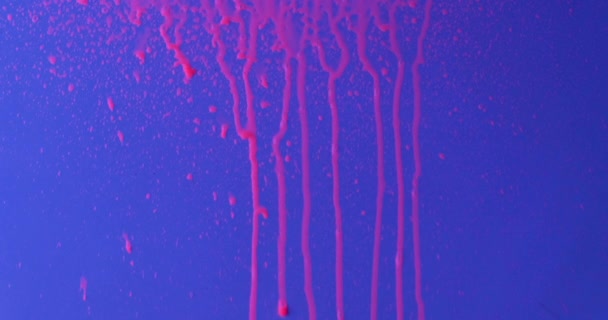 Краплі рожевої флуоресцентної фарби падають на синій фон і течуть струмками . — стокове відео