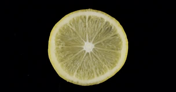 Rotazione di una fetta di limone su fondo nero. — Video Stock