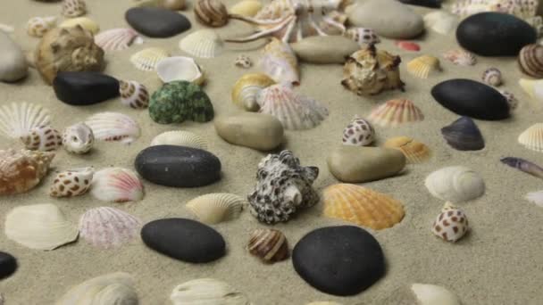 Farbenfroher Hintergrund von Muscheln und Steinen im Sand. Schieber-Schuss. — Stockvideo