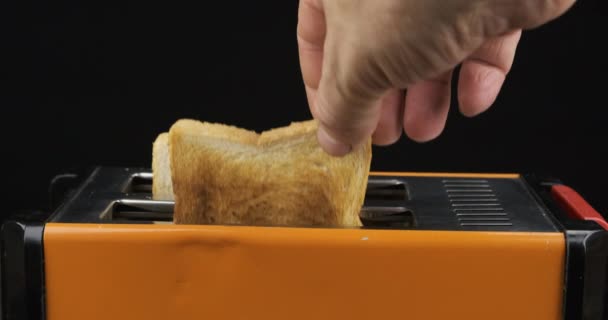 Манская рука достает из тостера поджаренный хлеб. — стоковое видео