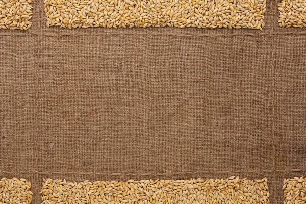 Barley Grains Burlap Place Text Top View Copy Space — Stock Photo, Image