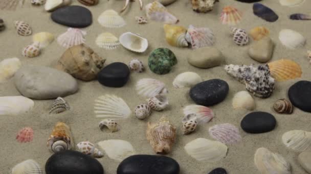 Panorama de um belo fundo de praia. Conchas do mar, rochas e areia. — Vídeo de Stock