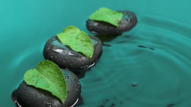 Al rallentatore. Caduta di goccia d'acqua in acqua verde con pietre nere e foglie verdi. — Video Stock