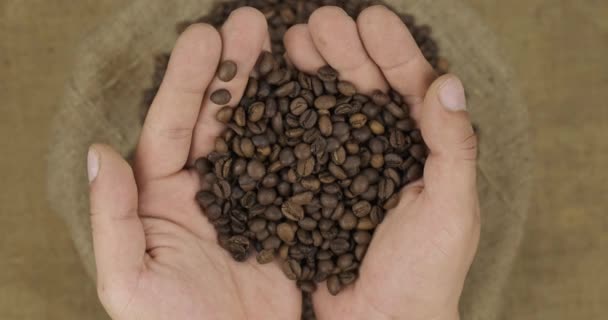 Çiftçi avuçlarında bir kahve çekirdeği tutar, tahılları torbaya atar.. — Stok video