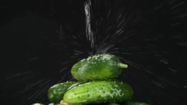 Ağır çekim. Olgun bir yığın üzerine dökülen su akıntısı, dönen salatalıklar. — Stok video