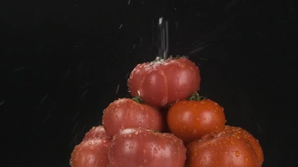 Slow motion. Stream of water falling on a heap of ripe, rotating tomatoes. — Stock Video