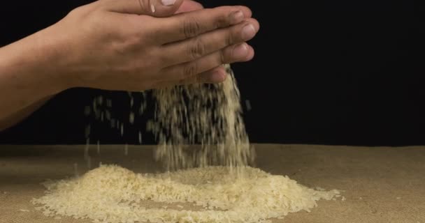Вивчення зерна рису. Агрономіст дивиться на урожай . — стокове відео