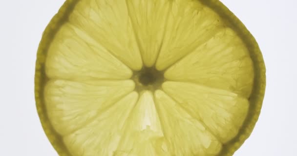 Rotierende transparente Zitronenscheibe auf weißem Hintergrund. Obst — Stockvideo