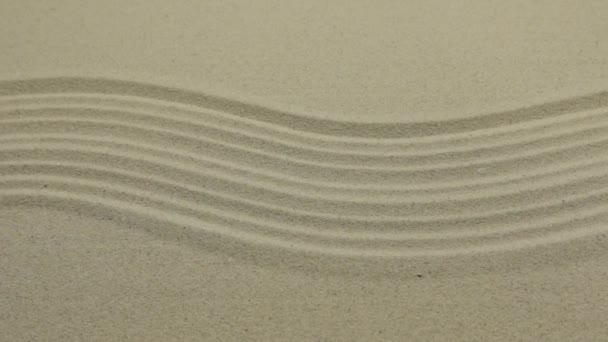 Vågiga linjer på sanden på stranden. Slider skjuten. Sand bakgrund och struktur. — Stockvideo
