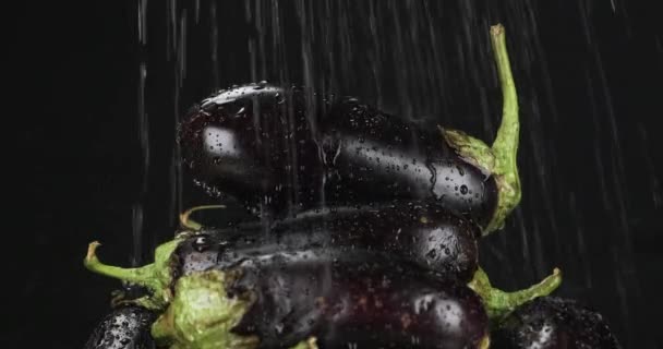 Des gouttes de pluie tombent sur une pile d'aubergines. Pyramide des légumes. — Video