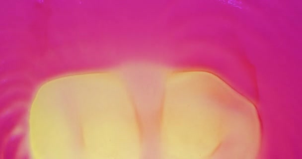 Krásné vlny růžové zářivky. Vítr odfoukne růžovou barvu — Stock video