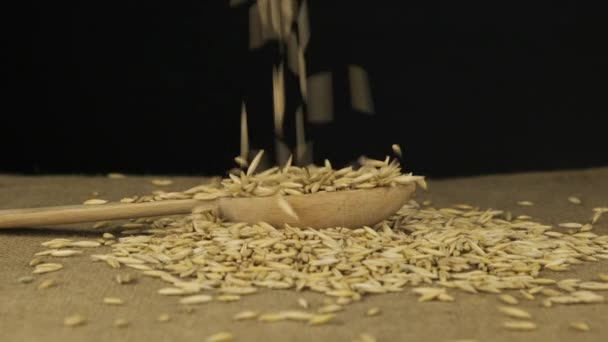 Los granos de avena caen en una cuchara de madera y se vierte un montón. Movimiento lento. — Vídeo de stock