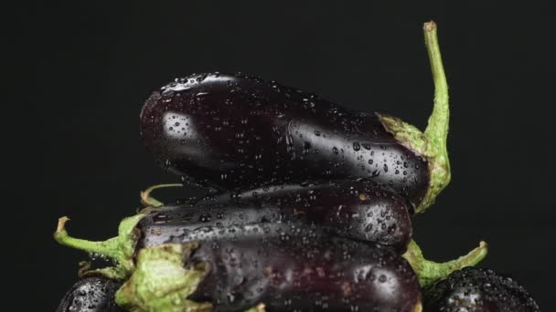 Droplets of water falling on a pile of whole aubergines. Slow motion. — Stock Video