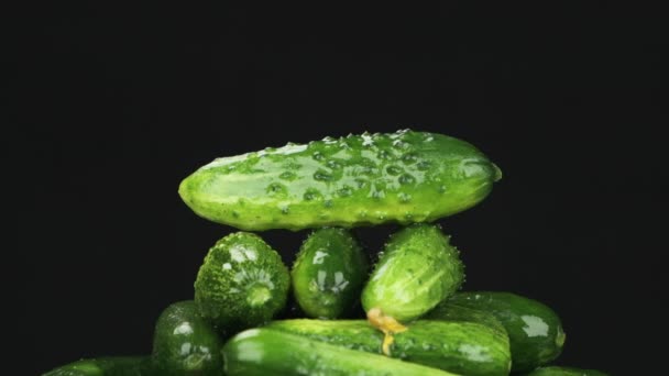 Vízcseppek hullanak egy halom zöld uborkára. Lassú mozgás.. — Stock videók