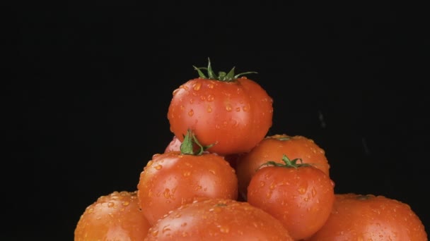 Gotas de agua cayendo sobre un montón de tomates rojos enteros. Movimiento lento. — Vídeos de Stock