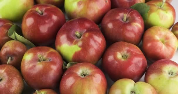 Rotation von reifen Äpfeln mit grünen Blättern. — Stockvideo