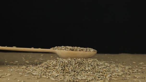 Mão levanta uma colher de madeira com grãos de centeio. Grão cai de uma colher em uma pilha de grãos em um fundo preto. — Vídeo de Stock