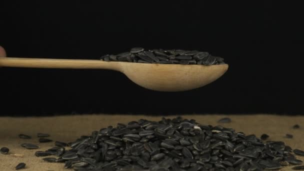 Main soulève une cuillère en bois avec des grains de tournesol. Le grain tombe d'une cuillère sur un tas de grains sur un fond noir. — Video
