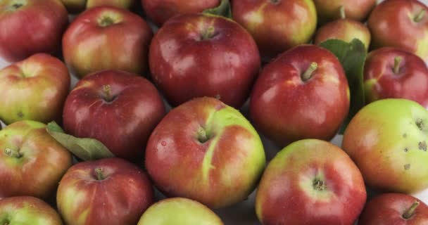 Primer plano. Caída de gotas de lluvia sobre manzanas rojas maduras. — Vídeos de Stock