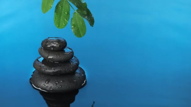 Al rallentatore. Cadute di gocce di pioggia in acqua azzurra su uno sfondo di un tumulo di pietre e rami di foglie verdi. — Video Stock