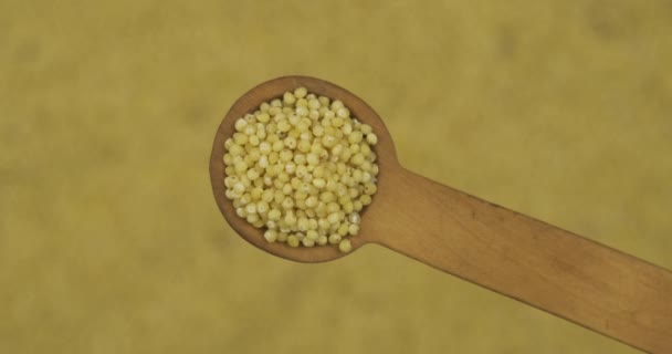 Spoonful of millet grains over the rotating defocused millet seeds. Top view. Food background. — Stock Video