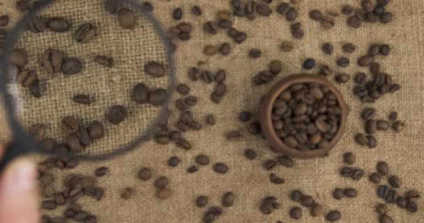 Examinar los granos de café con una lupa. Vista superior. Lupa móvil — Vídeos de Stock