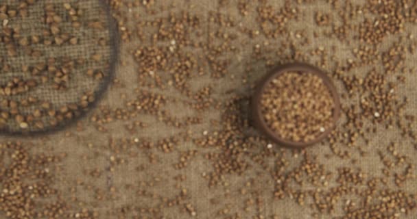 Examining buckwheat grains with a magnifying glass. Top view. Moving magnifying glass — Stock Video