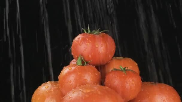 Αργή κίνηση. Σταγόνες βροχής πέφτουν σε ένα σωρό ντομάτας. Πυραμίδα λαχανικών. — Αρχείο Βίντεο