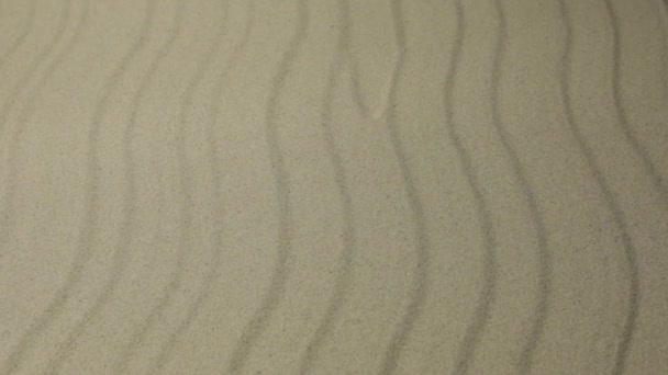 Тло і текстура піщаних дюн. Масштабувати. З простором для дизайну — стокове відео