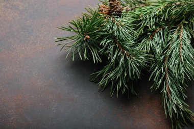 Noel arka plan. Çamın dalları kopya alanı ile karanlık taş tabloda.