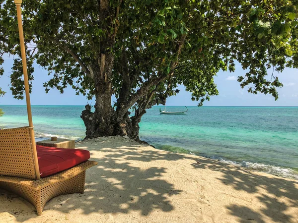 Boom Het Strand Met Boten Zee Een Zonnige Dag Fehendhoo — Stockfoto